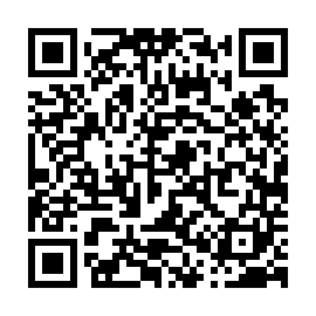 QR code for P04741