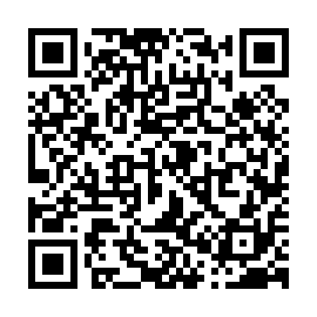 QR code for P06010