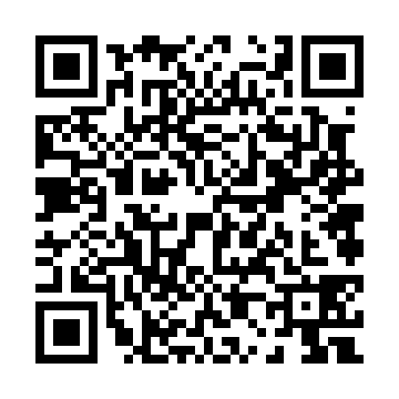 QR code for P060385
