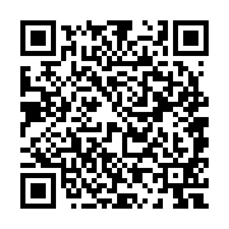 QR code for P062911