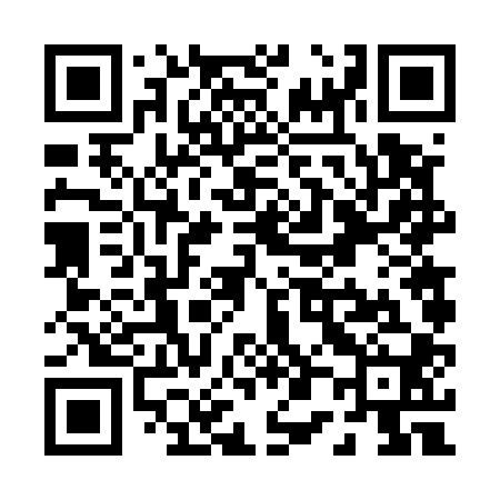 QR code for P06500