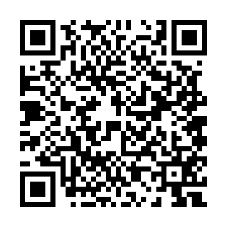 QR code for P065556