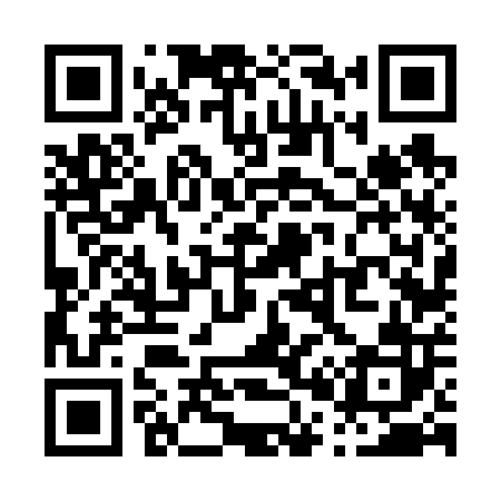 QR code for P06602
