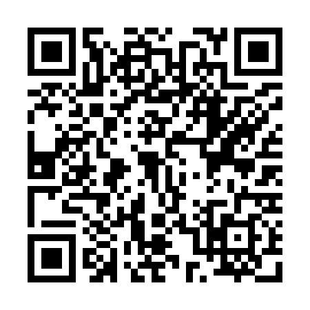 QR code for P069383