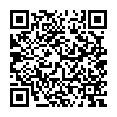 QR code for P070532