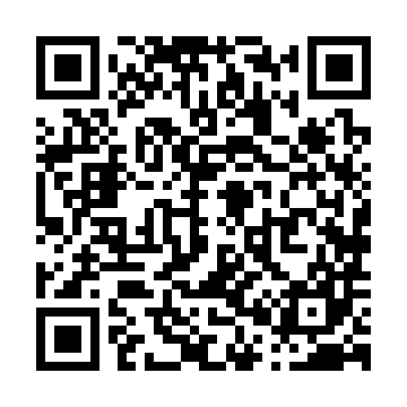 QR code for P08387