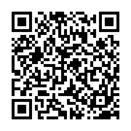 QR code for P09317