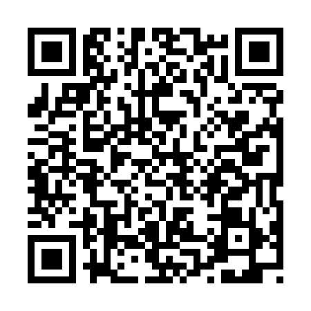 QR code for P095591