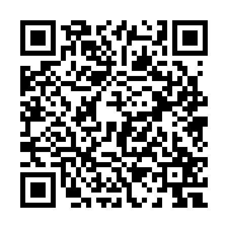 QR code for P103276