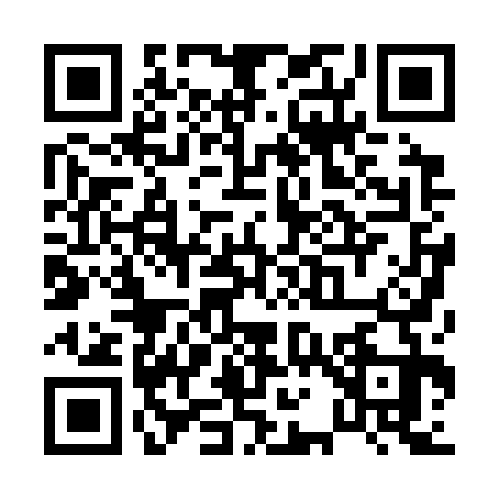 QR code for P103334