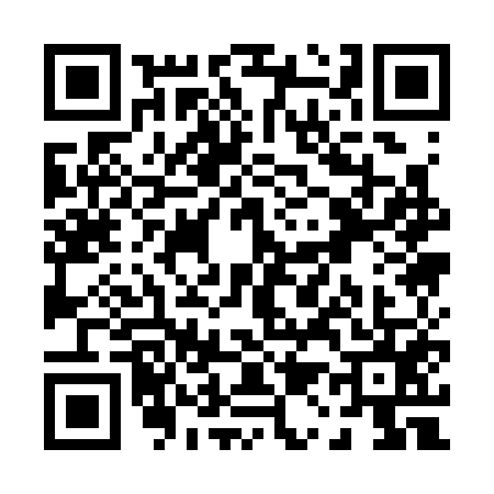 QR code for P113550