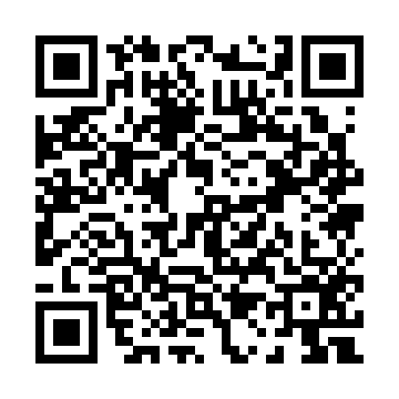 QR code for P113563