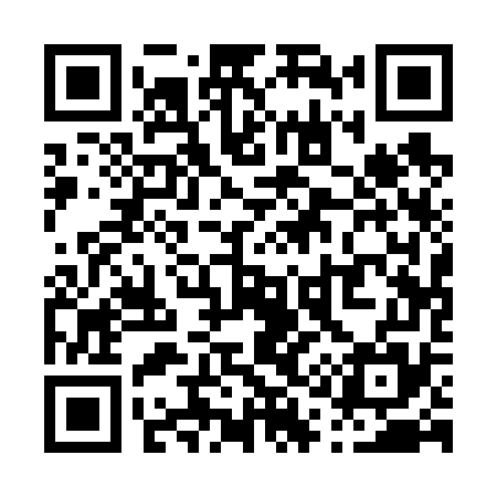 QR code for P11675