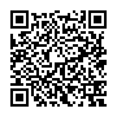 QR code for P119393