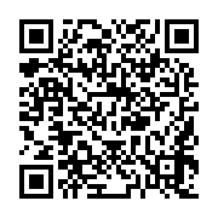 QR code for P11958