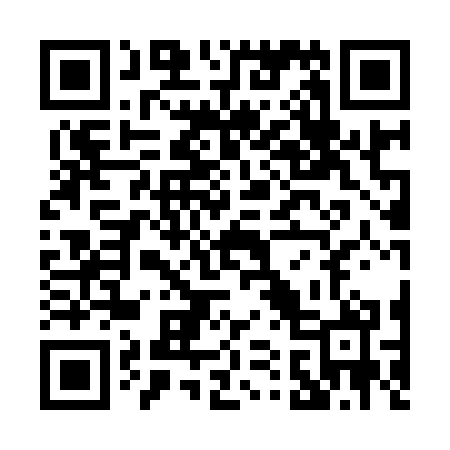 QR code for P11970