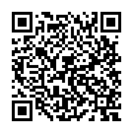 QR code for P12101
