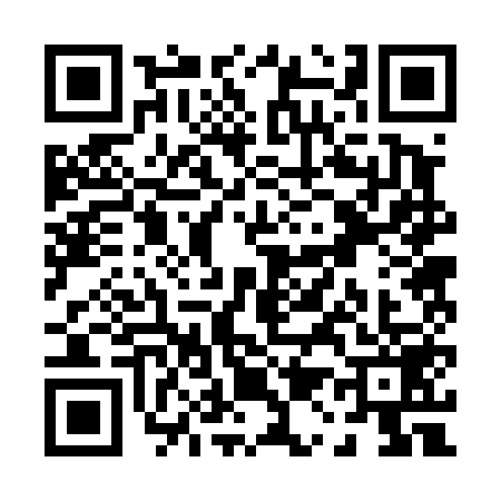 QR code for P124595