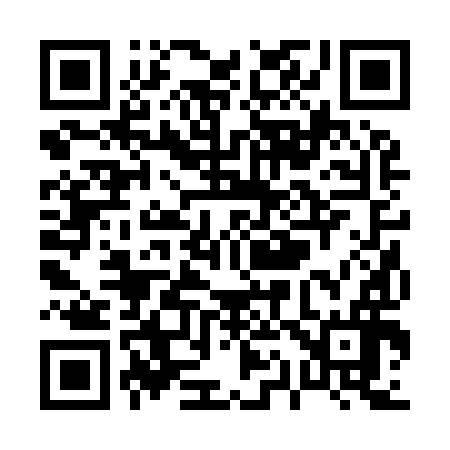 QR code for P12996