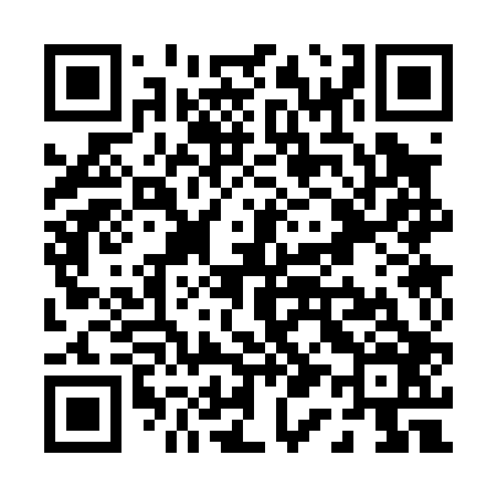 QR code for P13006