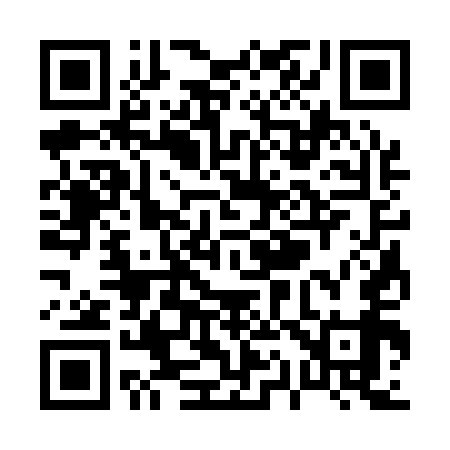 QR code for P13159