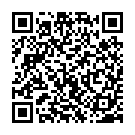 QR code for P13251