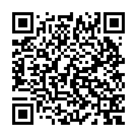 QR code for P13272
