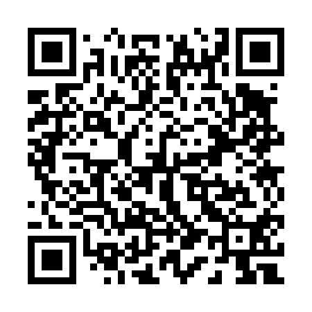 QR code for P13410
