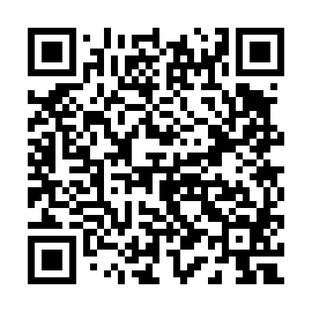 QR code for P13484