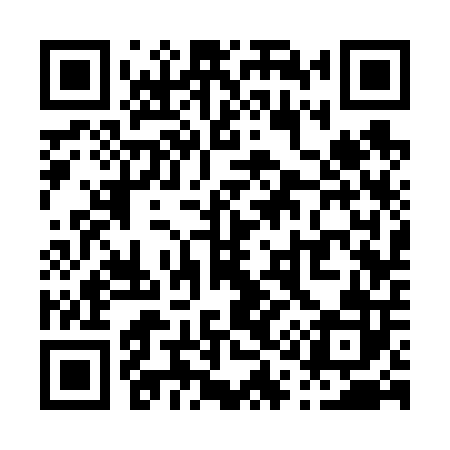 QR code for P13602