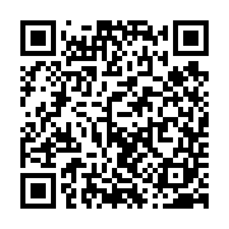 QR code for P13641
