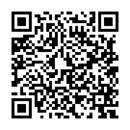 QR code for P138451