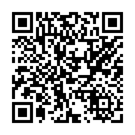 QR code for P13856