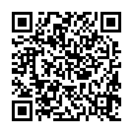 QR code for P15287