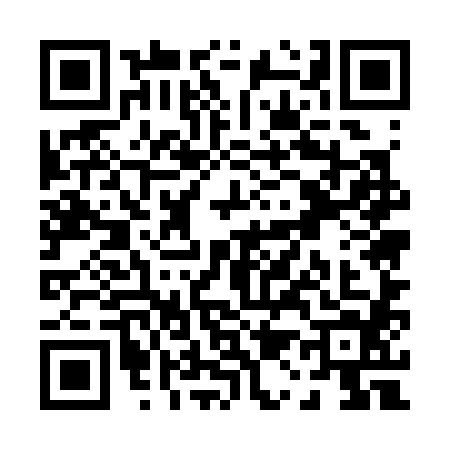 QR code for P153848