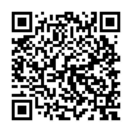 QR code for P15391