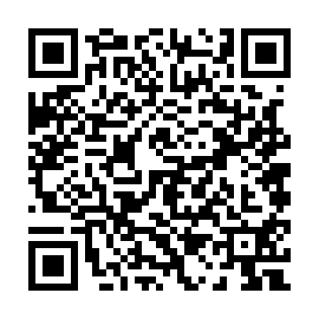 QR code for P161104