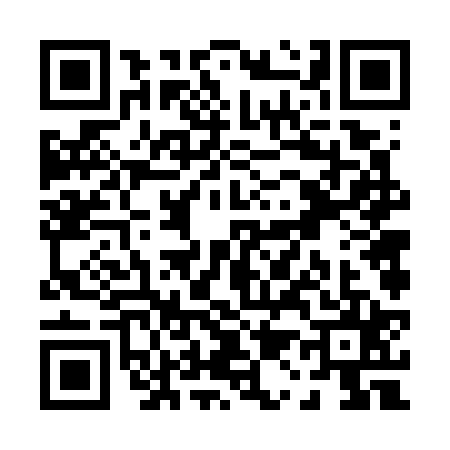 QR code for P167253