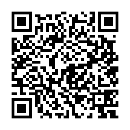 QR code for P170787