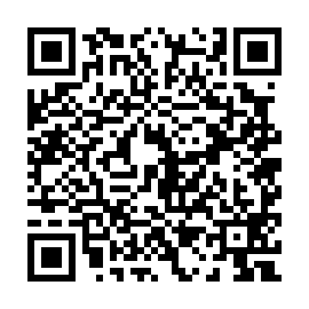 QR code for P170993