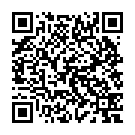 QR code for P17239