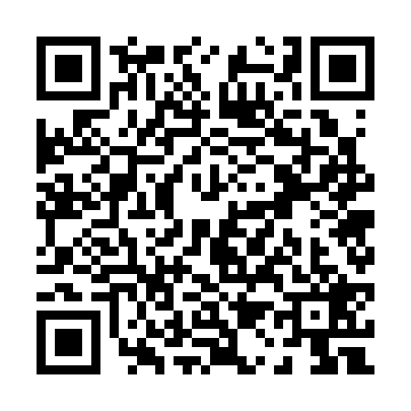 QR code for P173293