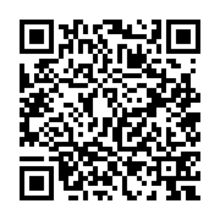QR code for P173710