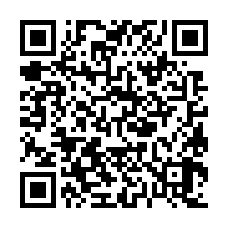QR code for P17788