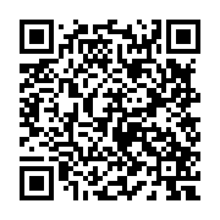 QR code for P17807