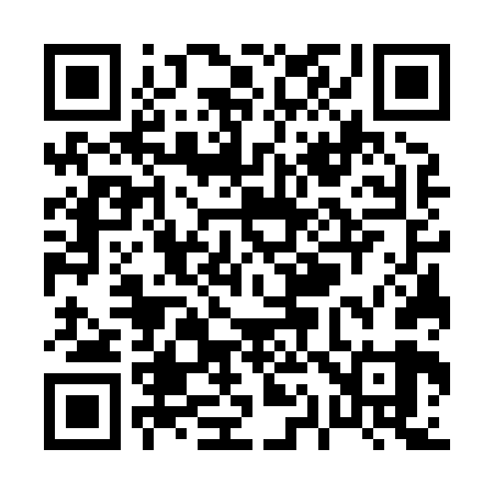 QR code for P17869
