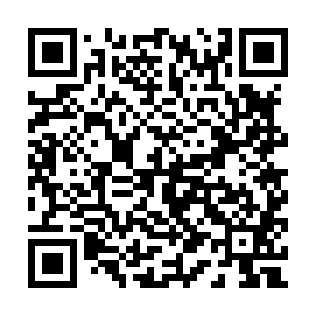 QR code for P17881