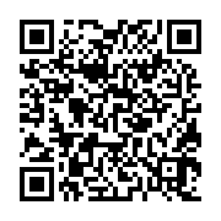 QR code for P17942