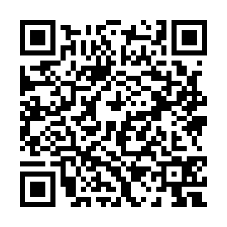 QR code for P191343