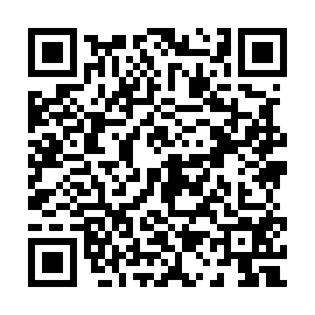 QR code for P195540
